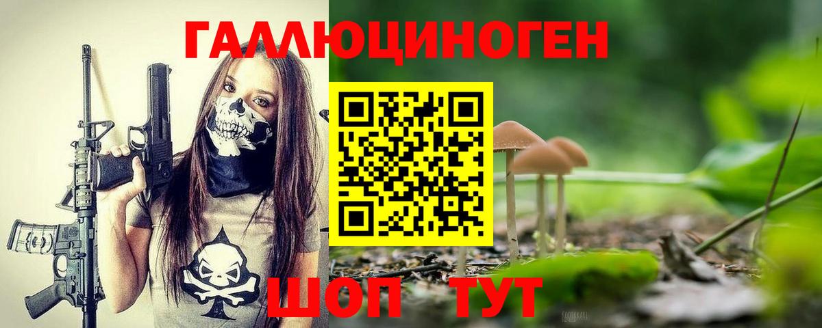 Советская Гавань  Галлюциногенные грибы MAGIC MUSHROOMS  Псилоцибиновые грибы Cubensis  Вход с VPN 