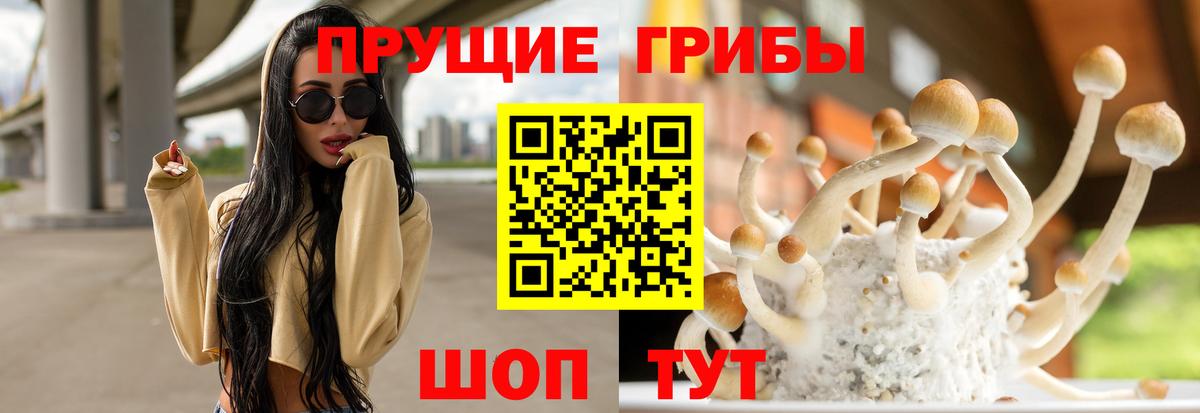 Псилоцибиновые грибы GOLDEN TEACHER Советская Гавань